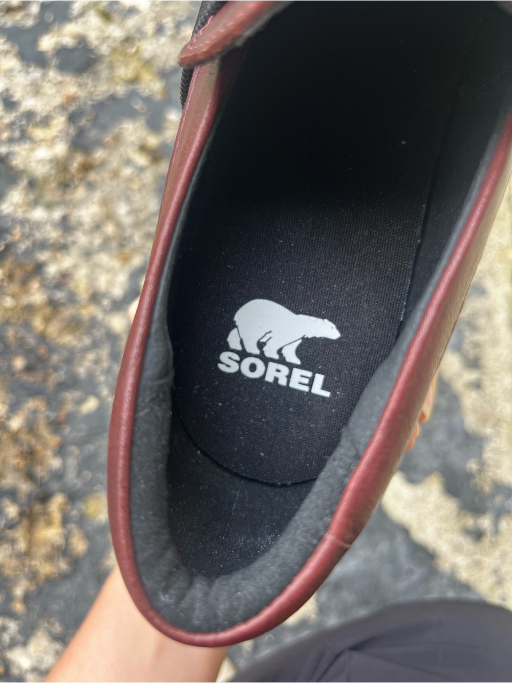 New Brown Sorel Loafers with Black Elastic Strap - Picture 7 of 11